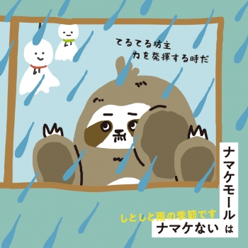 【ナマケモール】しとしと雨の季節です