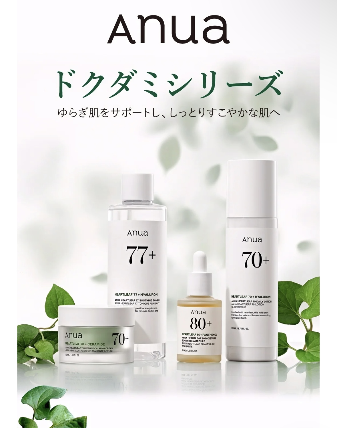 【NEW】大人気🌿Anua登場✨