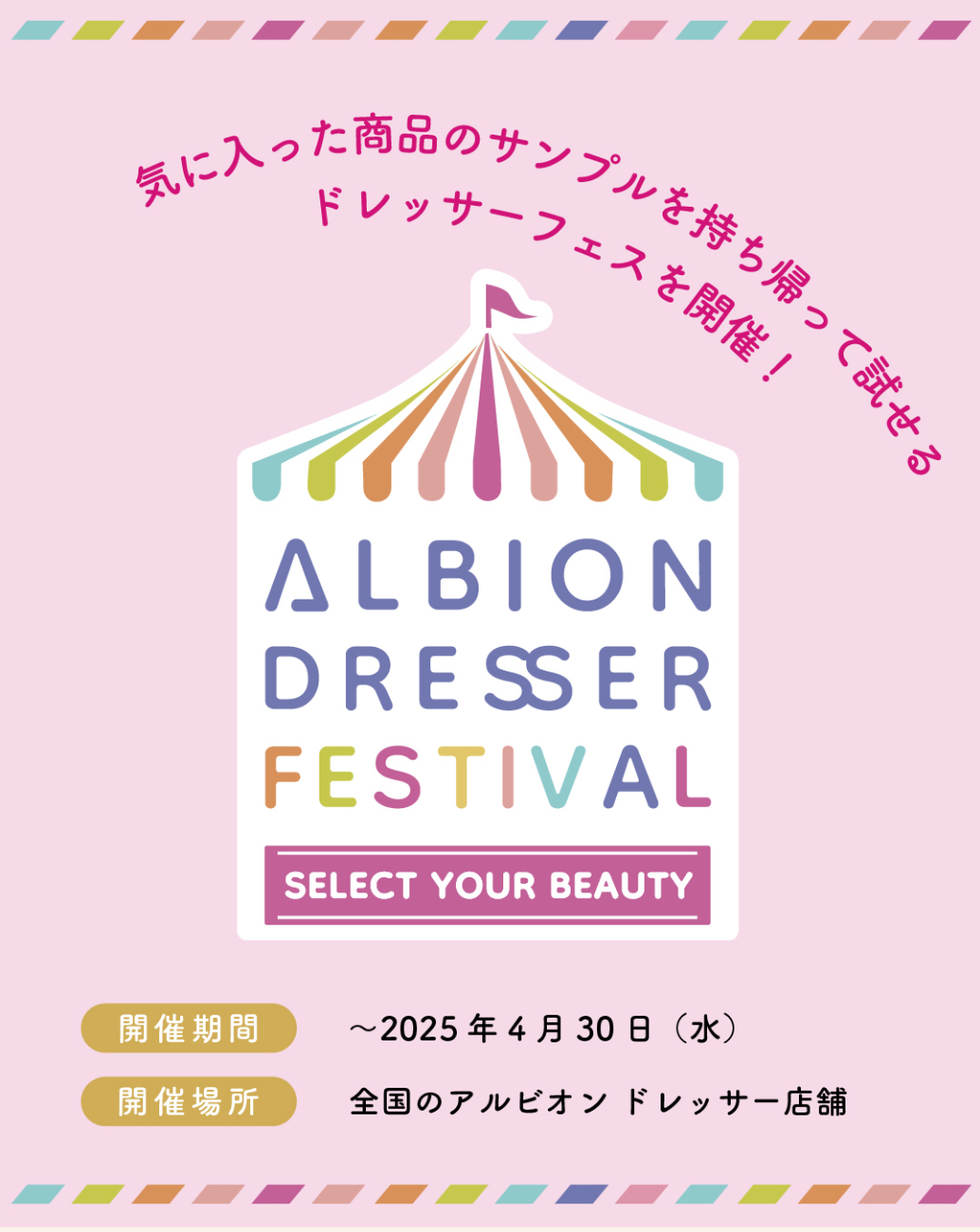 🩷アルビオンドレッサーフェスティバル🎠