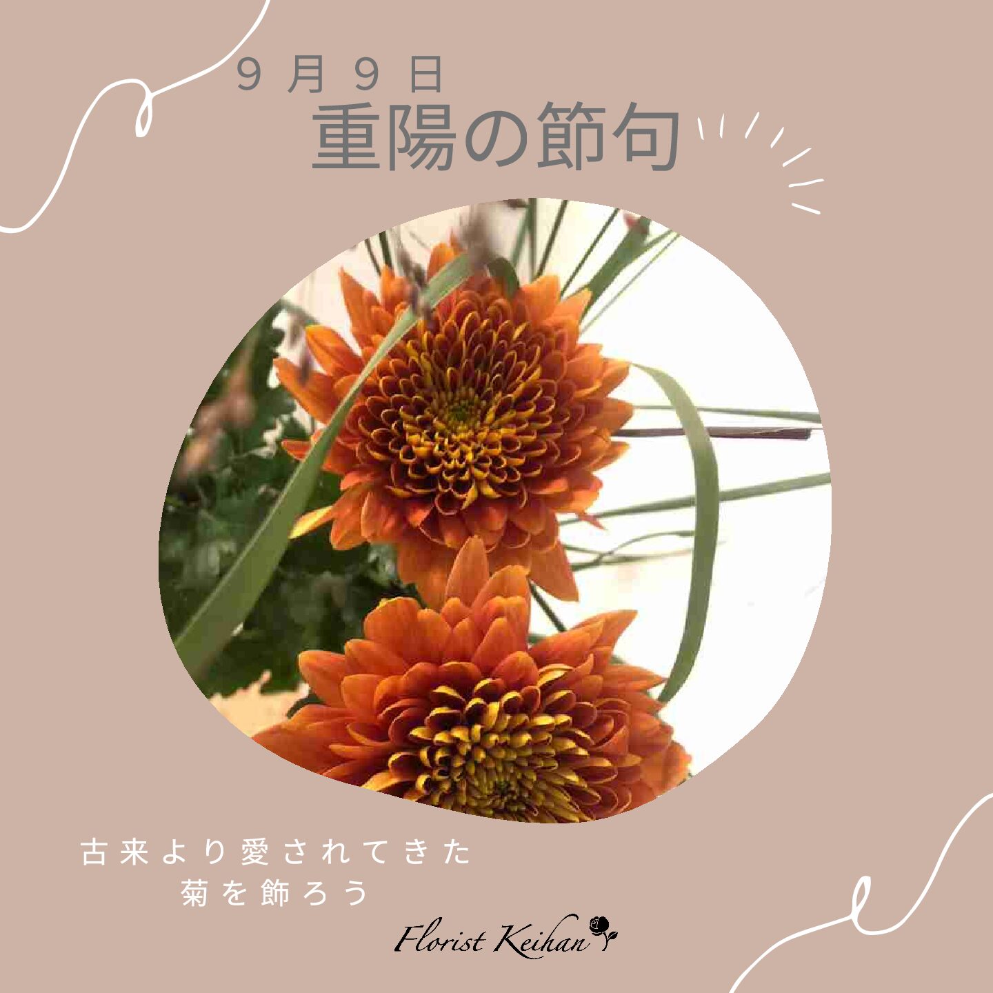 9月のお花