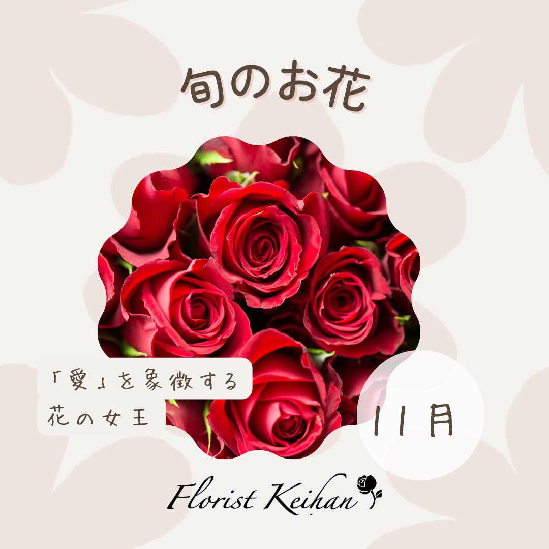 11月のお花
