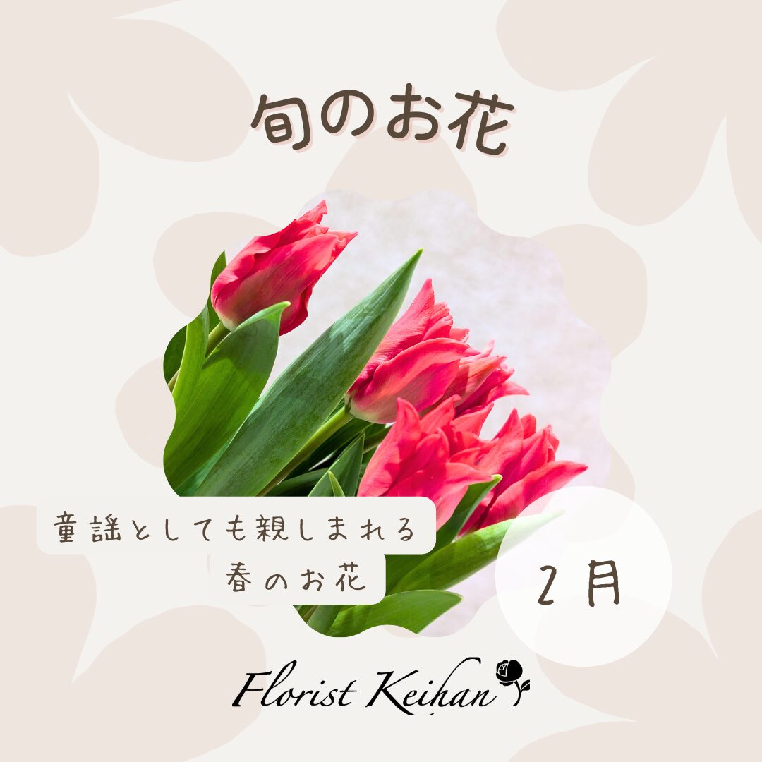 2月のお花