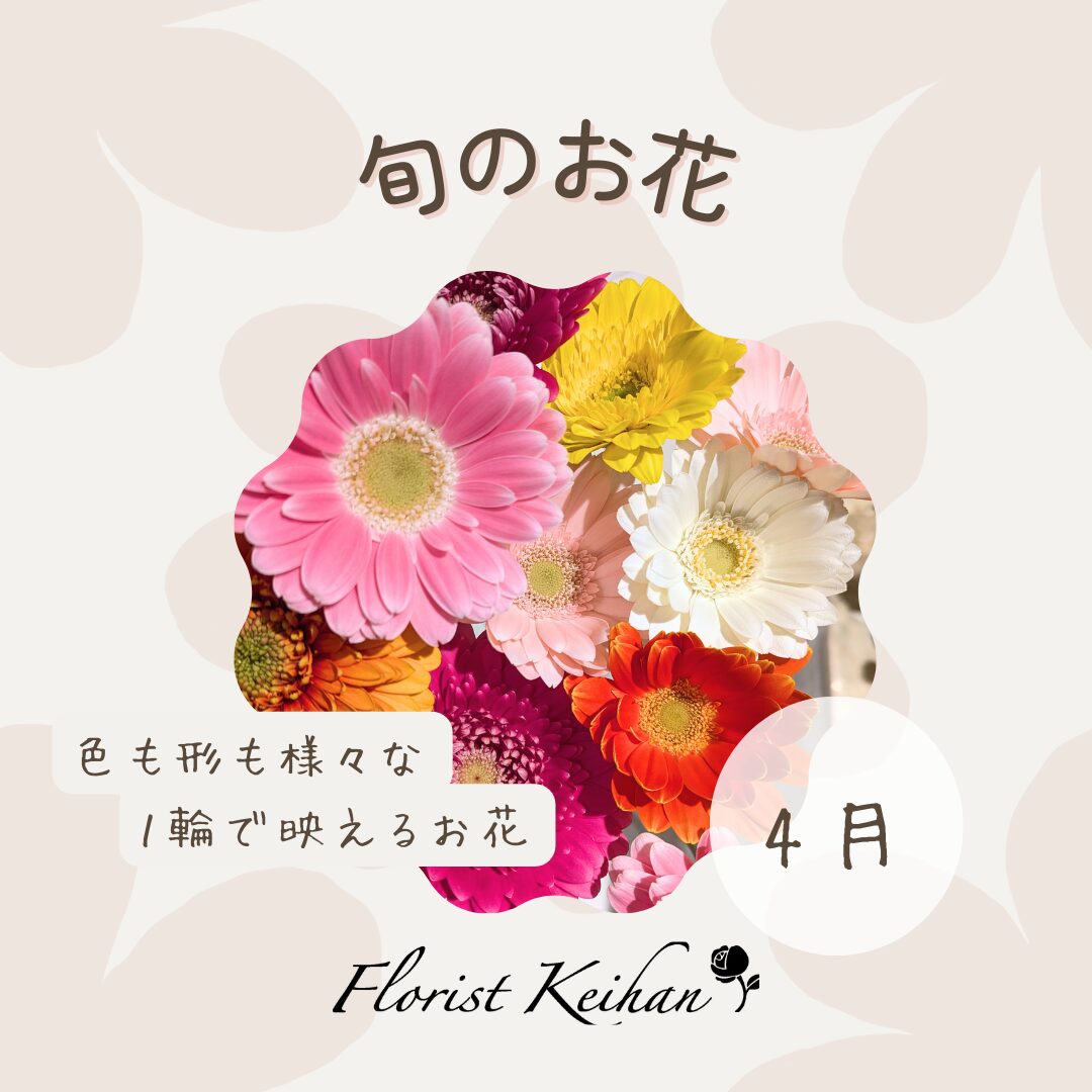 4月のお花